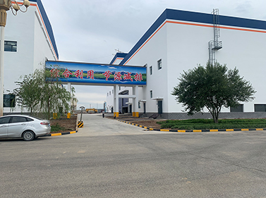 新疆农六师煤电有限公司